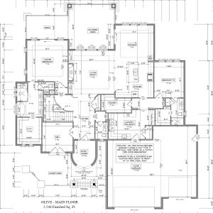 Olive floor plan Colorado Custom Home